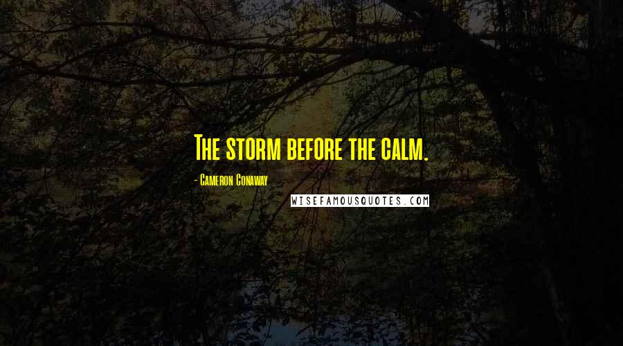 Cameron Conaway Quotes: The storm before the calm.