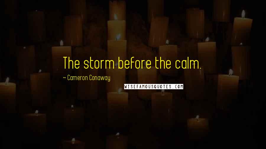 Cameron Conaway Quotes: The storm before the calm.