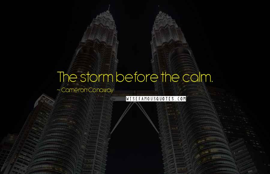 Cameron Conaway Quotes: The storm before the calm.