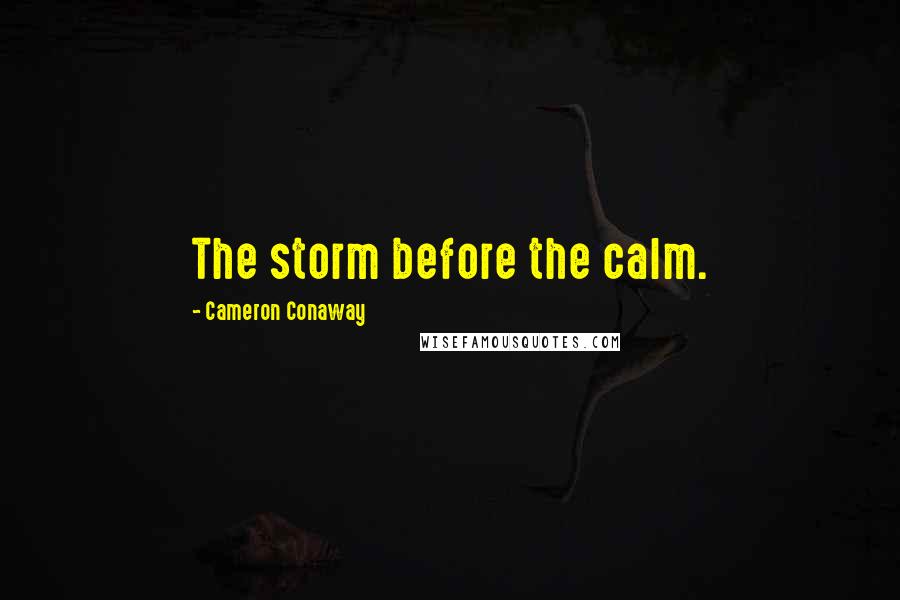 Cameron Conaway Quotes: The storm before the calm.