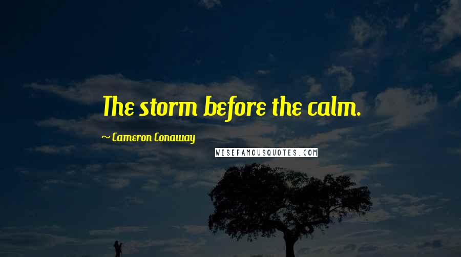 Cameron Conaway Quotes: The storm before the calm.