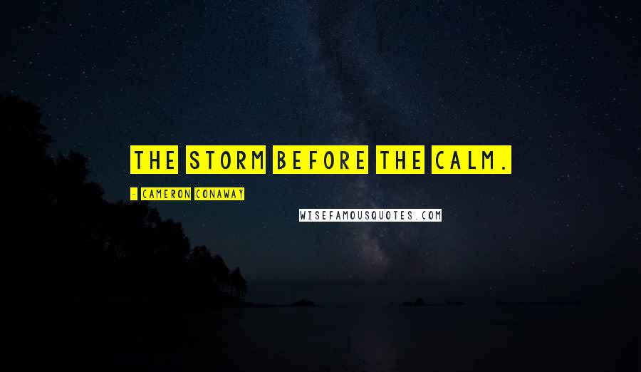 Cameron Conaway Quotes: The storm before the calm.