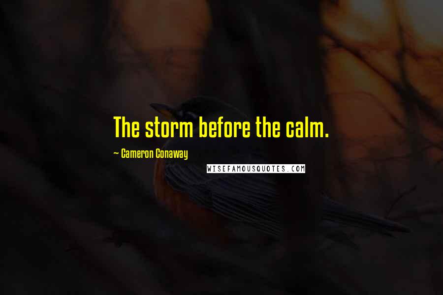 Cameron Conaway Quotes: The storm before the calm.