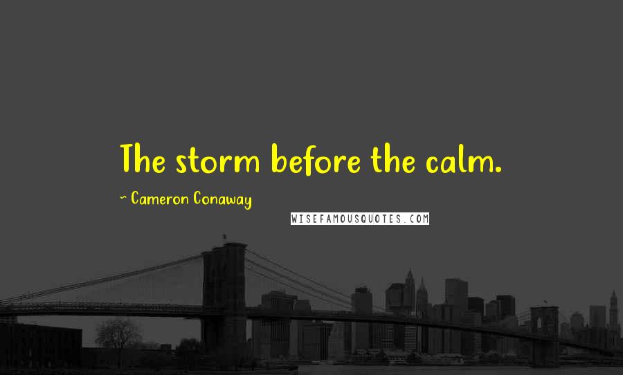 Cameron Conaway Quotes: The storm before the calm.