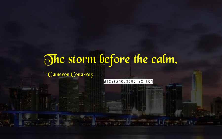 Cameron Conaway Quotes: The storm before the calm.