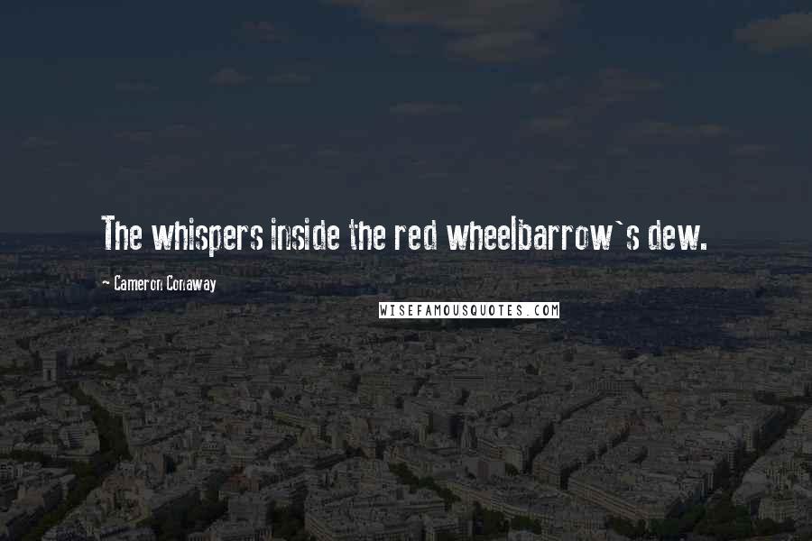 Cameron Conaway Quotes: The whispers inside the red wheelbarrow's dew.