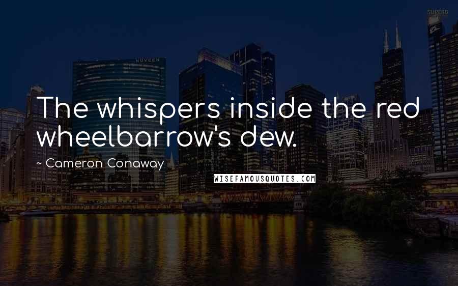 Cameron Conaway Quotes: The whispers inside the red wheelbarrow's dew.