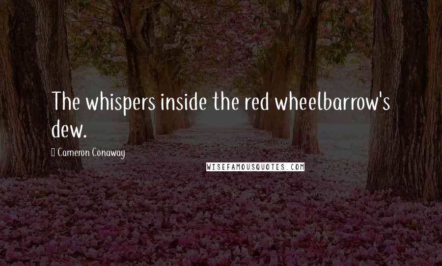 Cameron Conaway Quotes: The whispers inside the red wheelbarrow's dew.