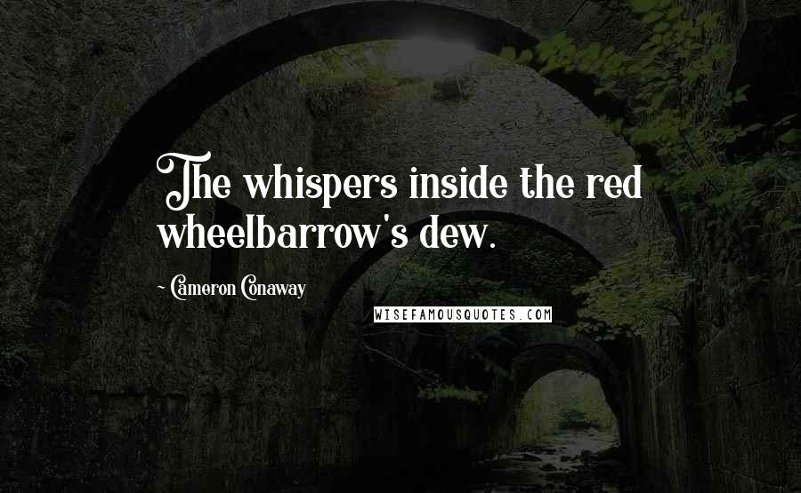 Cameron Conaway Quotes: The whispers inside the red wheelbarrow's dew.