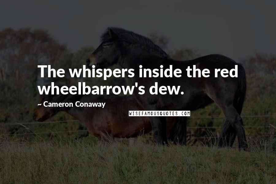 Cameron Conaway Quotes: The whispers inside the red wheelbarrow's dew.