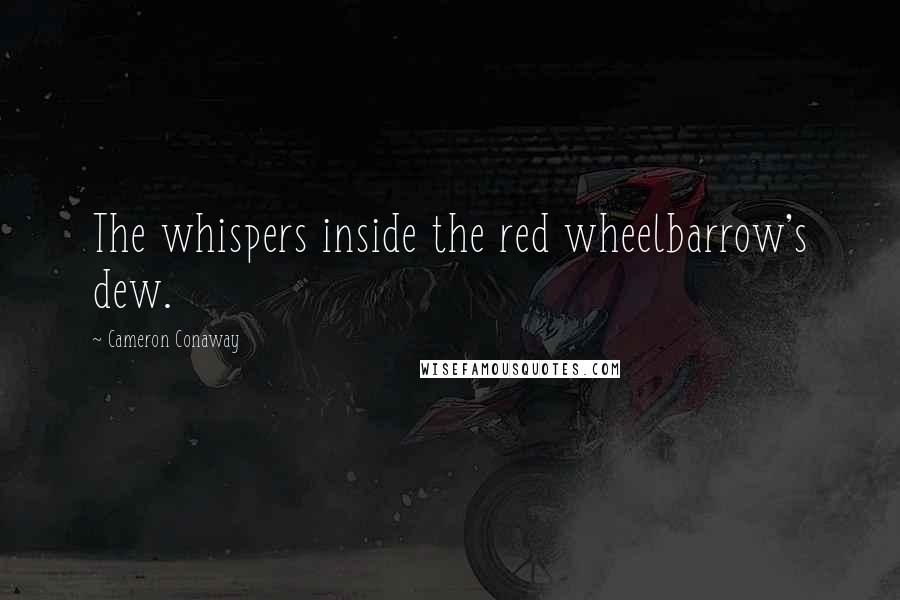 Cameron Conaway Quotes: The whispers inside the red wheelbarrow's dew.