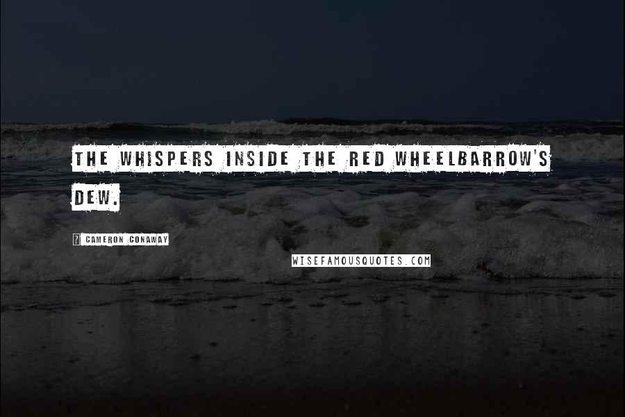 Cameron Conaway Quotes: The whispers inside the red wheelbarrow's dew.