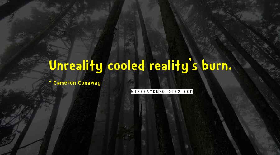 Cameron Conaway Quotes: Unreality cooled reality's burn.