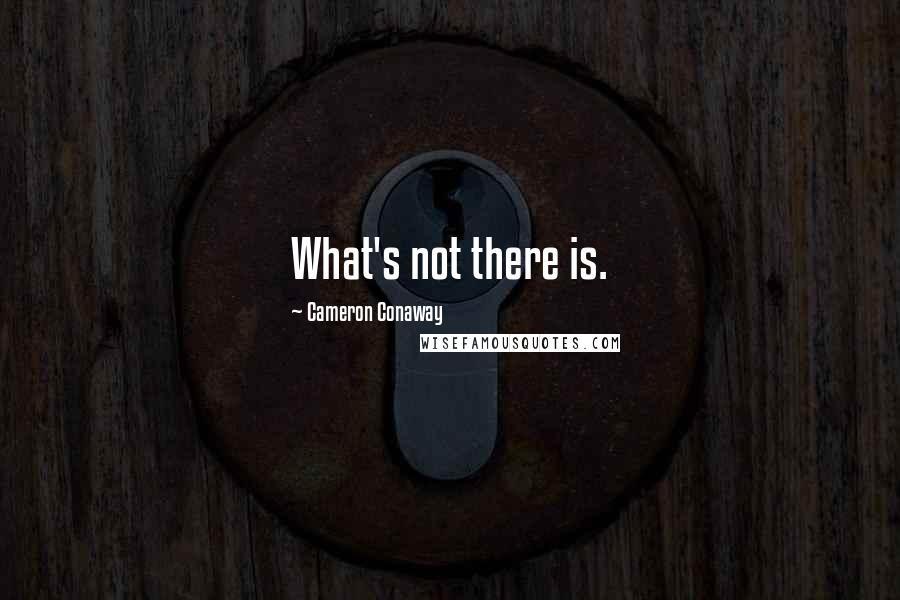 Cameron Conaway Quotes: What's not there is.