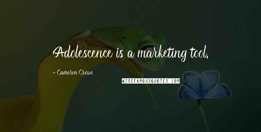 Cameron Crowe Quotes: Adolescence is a marketing tool.