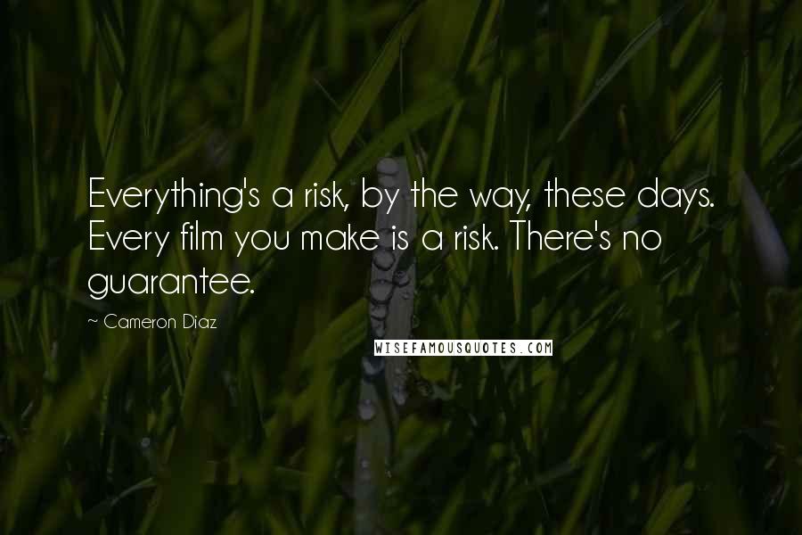 Cameron Diaz Quotes: Everything's a risk, by the way, these days. Every film you make is a risk. There's no guarantee.