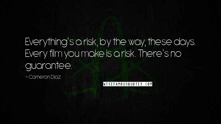 Cameron Diaz Quotes: Everything's a risk, by the way, these days. Every film you make is a risk. There's no guarantee.