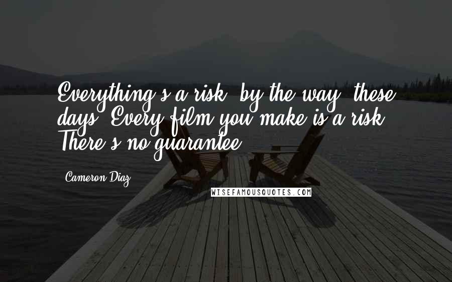 Cameron Diaz Quotes: Everything's a risk, by the way, these days. Every film you make is a risk. There's no guarantee.