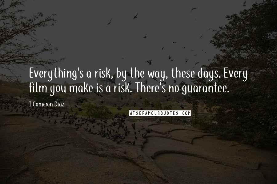 Cameron Diaz Quotes: Everything's a risk, by the way, these days. Every film you make is a risk. There's no guarantee.