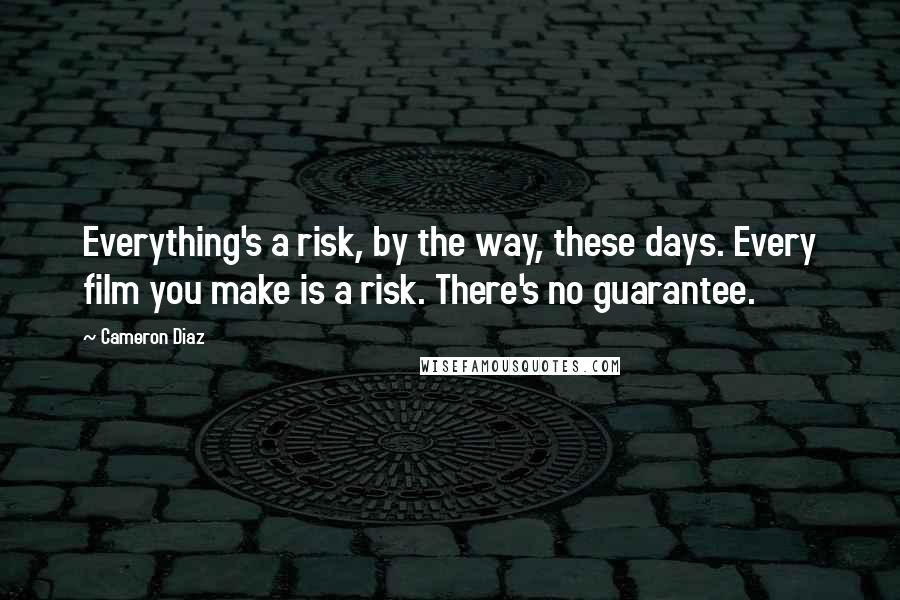 Cameron Diaz Quotes: Everything's a risk, by the way, these days. Every film you make is a risk. There's no guarantee.