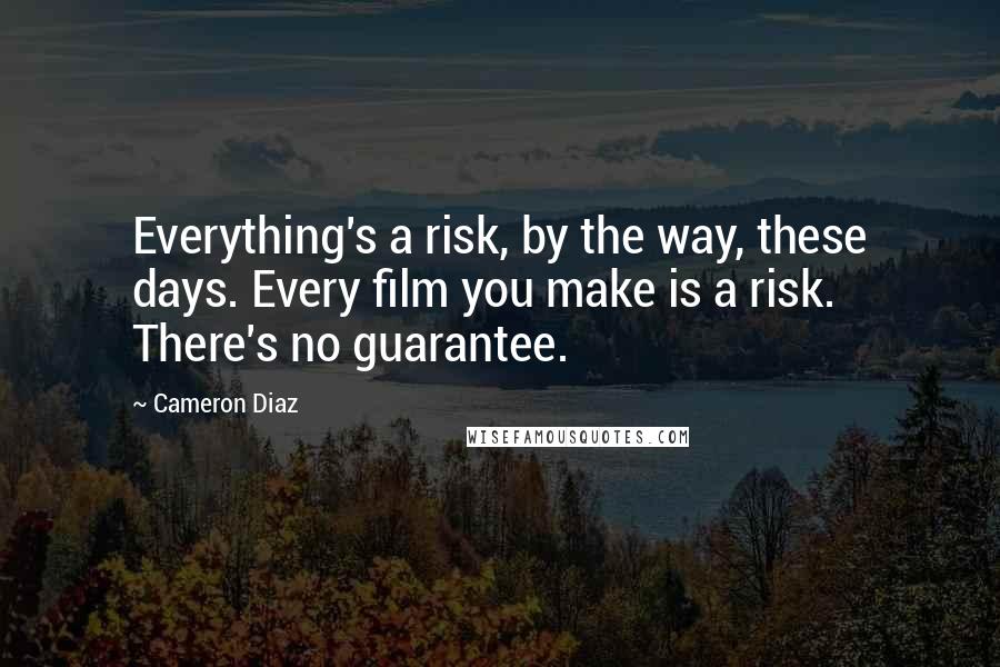 Cameron Diaz Quotes: Everything's a risk, by the way, these days. Every film you make is a risk. There's no guarantee.