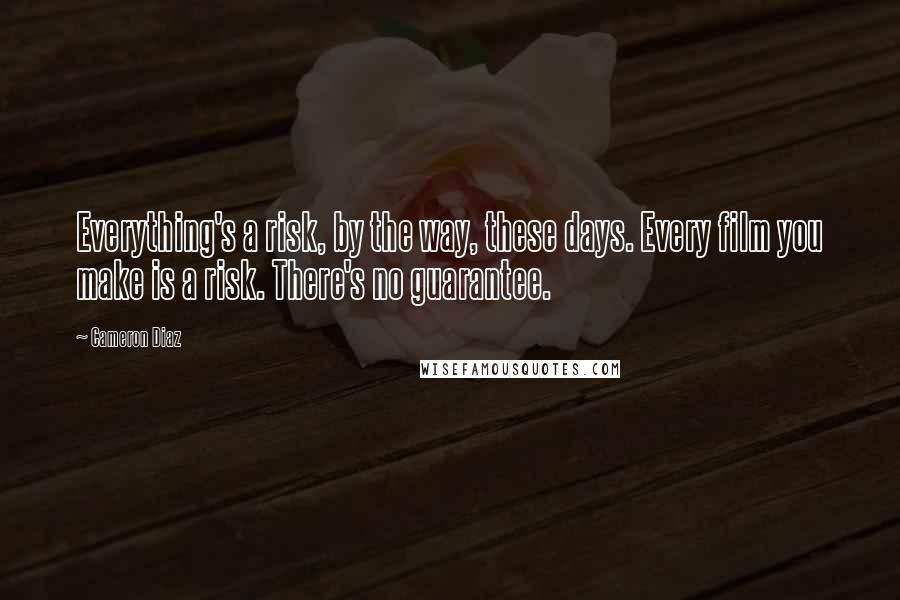 Cameron Diaz Quotes: Everything's a risk, by the way, these days. Every film you make is a risk. There's no guarantee.