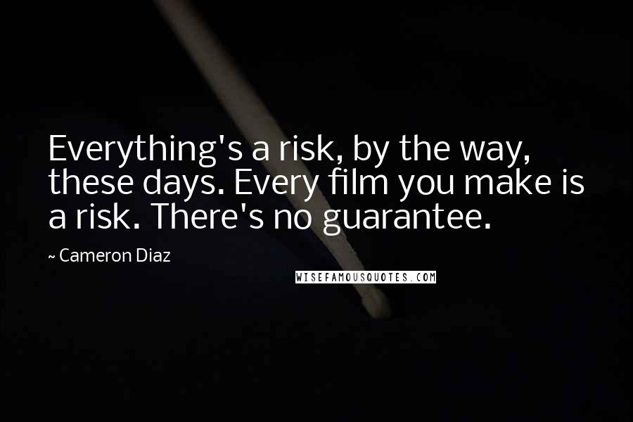 Cameron Diaz Quotes: Everything's a risk, by the way, these days. Every film you make is a risk. There's no guarantee.