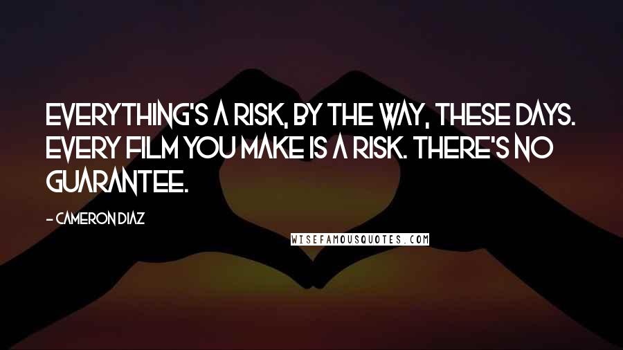 Cameron Diaz Quotes: Everything's a risk, by the way, these days. Every film you make is a risk. There's no guarantee.