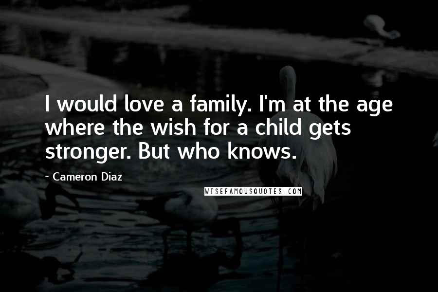 Cameron Diaz Quotes: I would love a family. I'm at the age where the wish for a child gets stronger. But who knows.