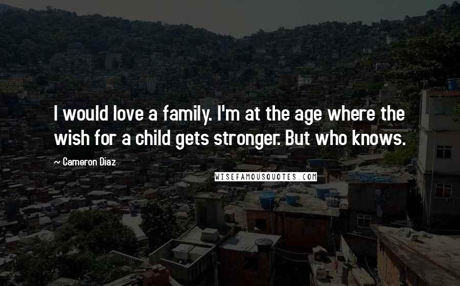 Cameron Diaz Quotes: I would love a family. I'm at the age where the wish for a child gets stronger. But who knows.