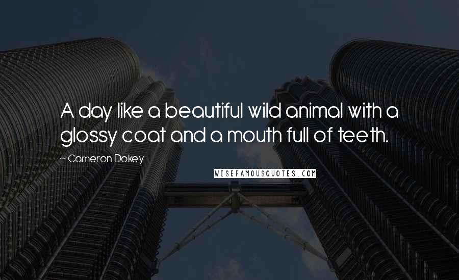 Cameron Dokey Quotes: A day like a beautiful wild animal with a glossy coat and a mouth full of teeth.