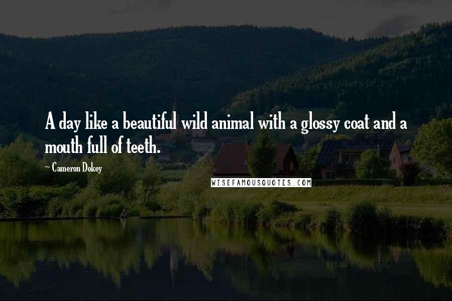 Cameron Dokey Quotes: A day like a beautiful wild animal with a glossy coat and a mouth full of teeth.
