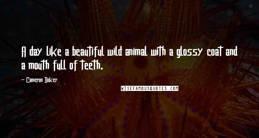 Cameron Dokey Quotes: A day like a beautiful wild animal with a glossy coat and a mouth full of teeth.