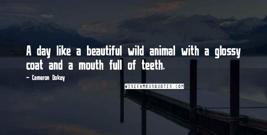 Cameron Dokey Quotes: A day like a beautiful wild animal with a glossy coat and a mouth full of teeth.