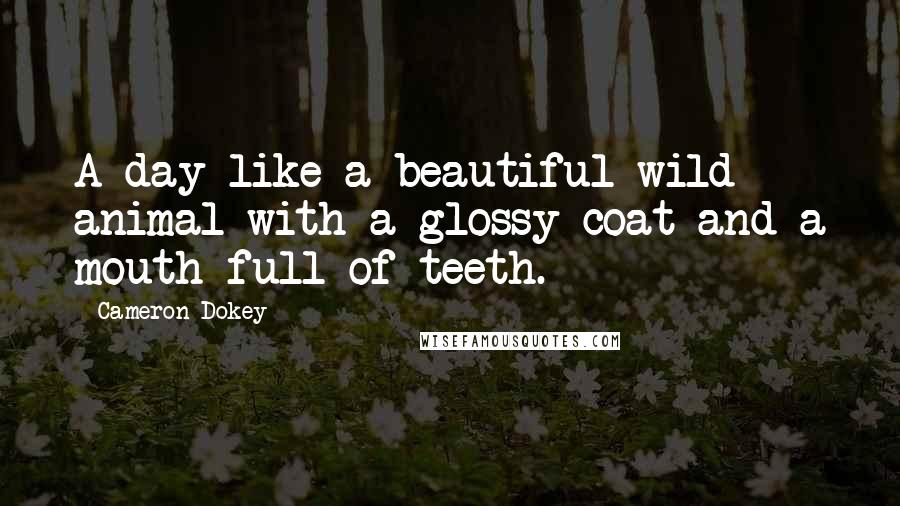 Cameron Dokey Quotes: A day like a beautiful wild animal with a glossy coat and a mouth full of teeth.