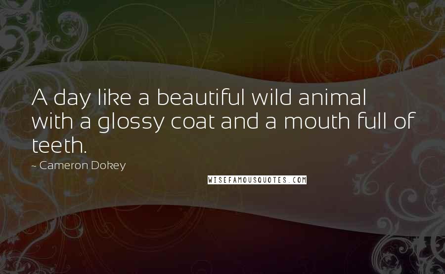 Cameron Dokey Quotes: A day like a beautiful wild animal with a glossy coat and a mouth full of teeth.