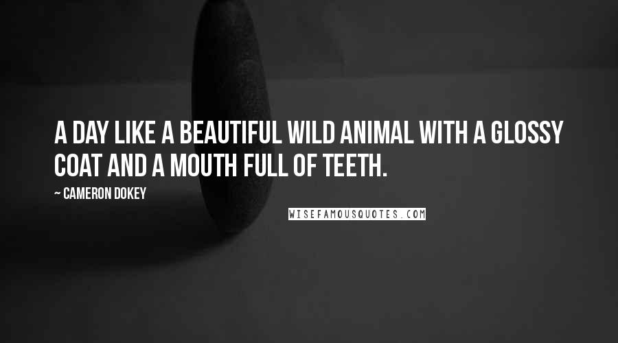 Cameron Dokey Quotes: A day like a beautiful wild animal with a glossy coat and a mouth full of teeth.