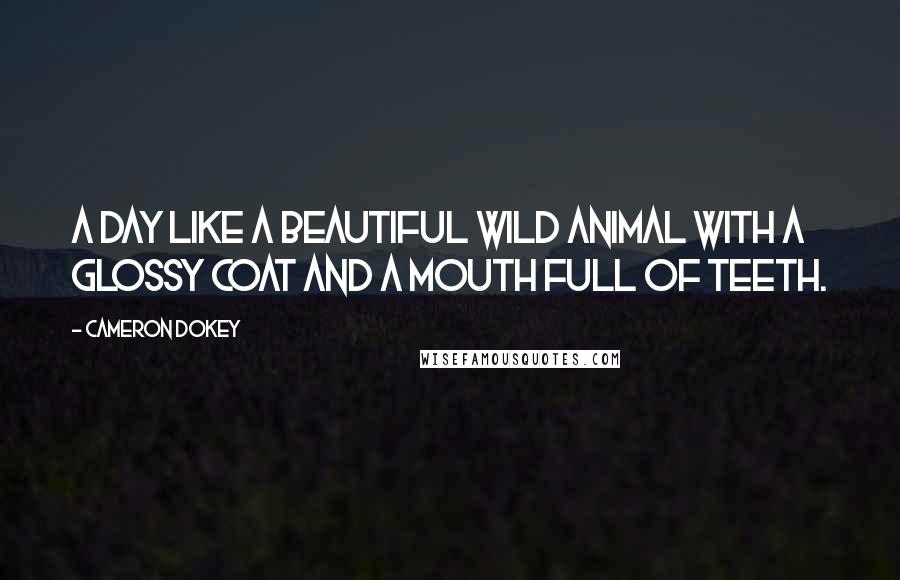 Cameron Dokey Quotes: A day like a beautiful wild animal with a glossy coat and a mouth full of teeth.