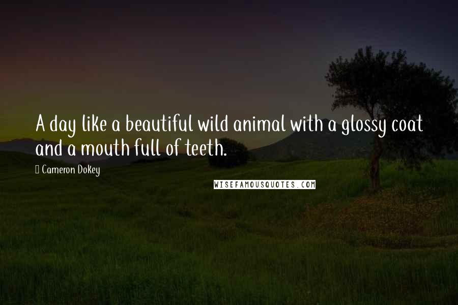 Cameron Dokey Quotes: A day like a beautiful wild animal with a glossy coat and a mouth full of teeth.