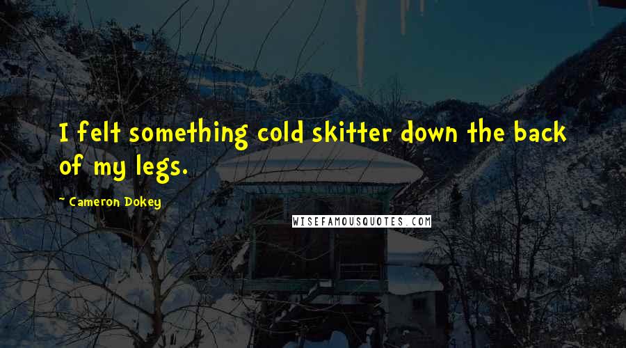 Cameron Dokey Quotes: I felt something cold skitter down the back of my legs.