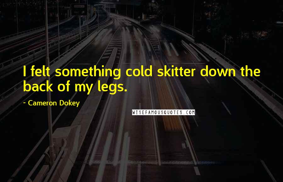 Cameron Dokey Quotes: I felt something cold skitter down the back of my legs.