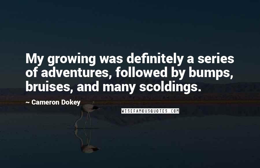 Cameron Dokey Quotes: My growing was definitely a series of adventures, followed by bumps, bruises, and many scoldings.