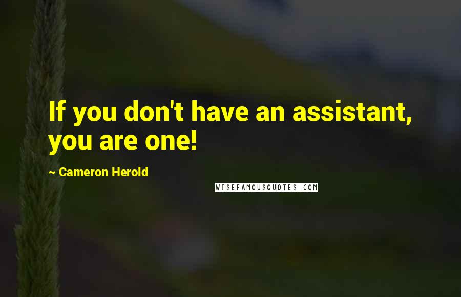 Cameron Herold Quotes: If you don't have an assistant, you are one!