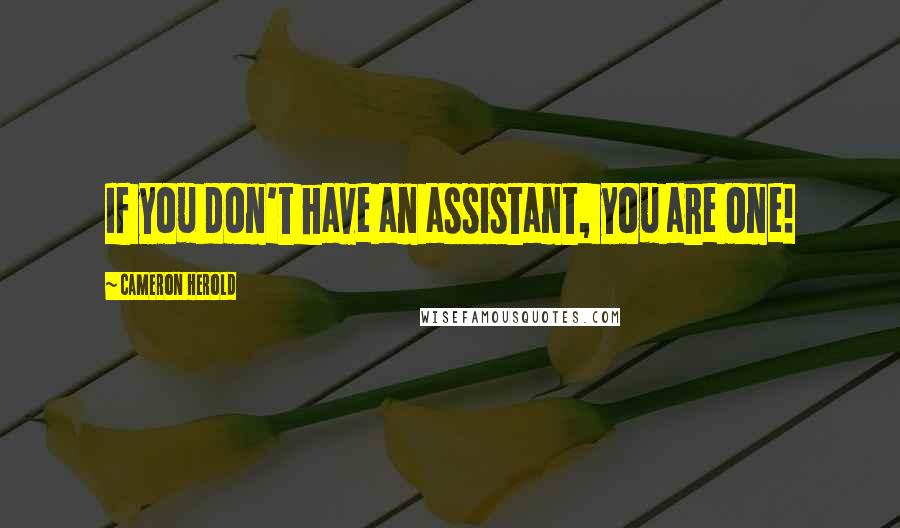 Cameron Herold Quotes: If you don't have an assistant, you are one!