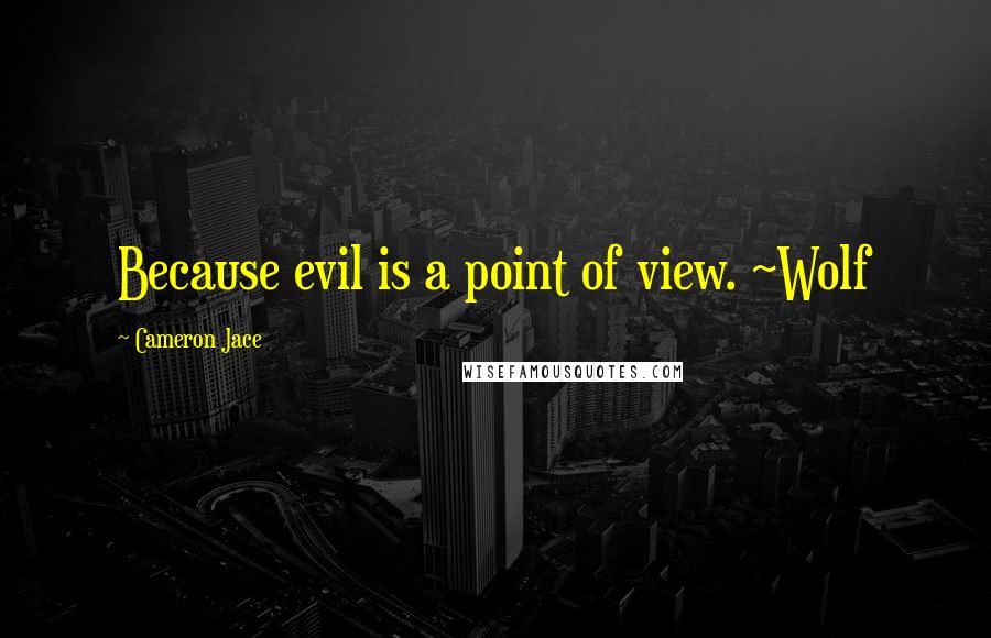 Cameron Jace Quotes: Because evil is a point of view. ~Wolf