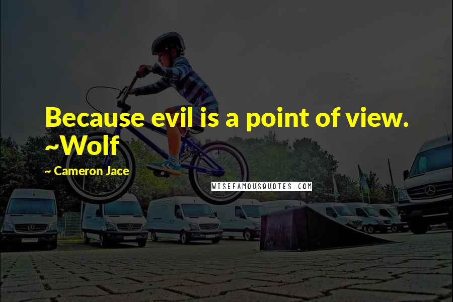 Cameron Jace Quotes: Because evil is a point of view. ~Wolf