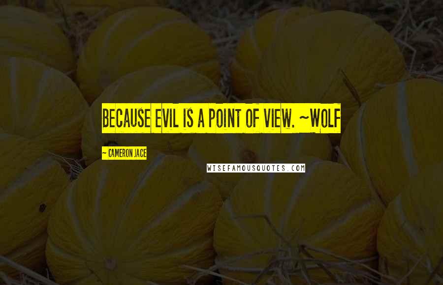 Cameron Jace Quotes: Because evil is a point of view. ~Wolf