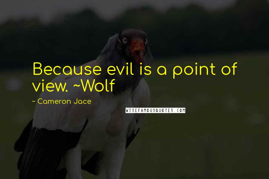 Cameron Jace Quotes: Because evil is a point of view. ~Wolf