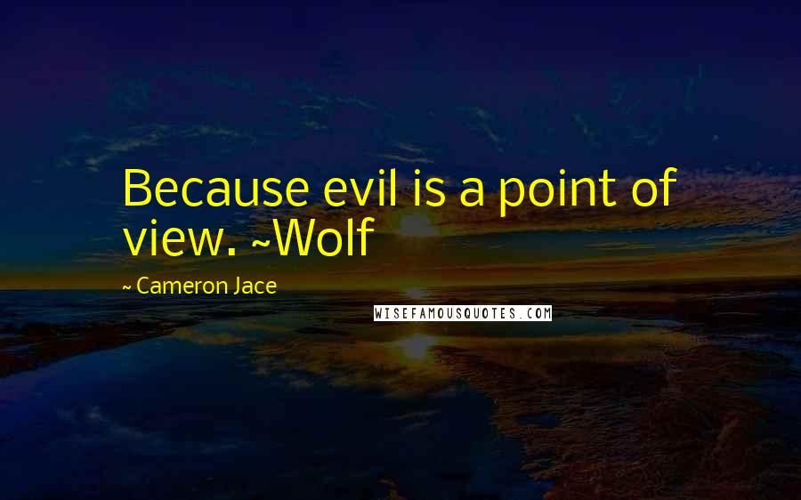 Cameron Jace Quotes: Because evil is a point of view. ~Wolf