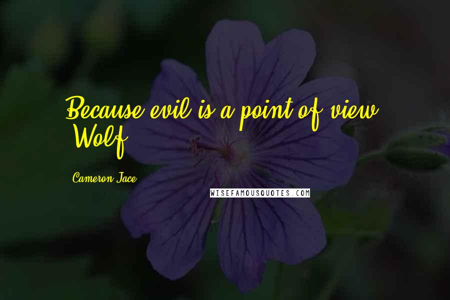 Cameron Jace Quotes: Because evil is a point of view. ~Wolf